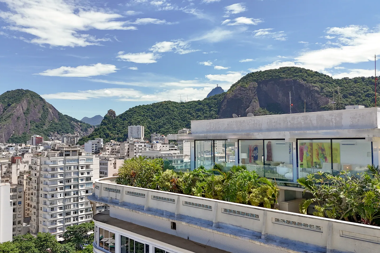 The planted rooftop with the hills of Rio behind